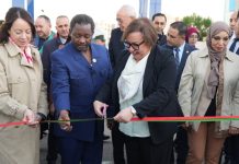 Formation: Un institut africain lancé à Boumerdès