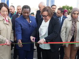 Formation: Un institut africain lancé à Boumerdès