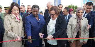 Formation: Un institut africain lancé à Boumerdès