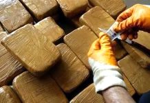 Nâama: Saisie de plus de 195 kg de kif traité durant les trois derniers mois