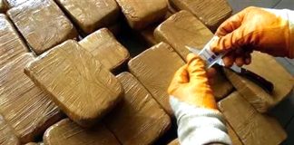 Nâama: Saisie de plus de 195 kg de kif traité durant les trois derniers mois