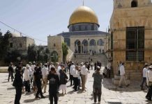 Palestine: 190 colons sionistes prennent d’assaut l’esplanade d’Al-Aqsa
