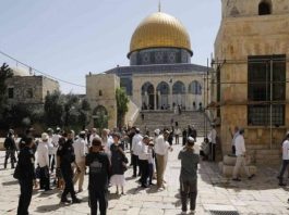 Palestine: 190 colons sionistes prennent d’assaut l’esplanade d’Al-Aqsa