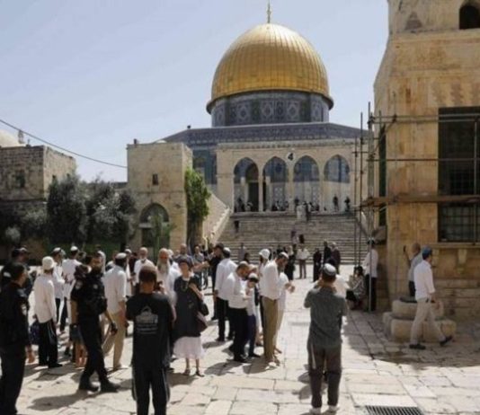 Palestine: 190 colons sionistes prennent d’assaut l’esplanade d’Al-Aqsa