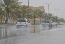 Pluies orageuses à partir de vendredi sur plusieurs wilayas du sud du pays