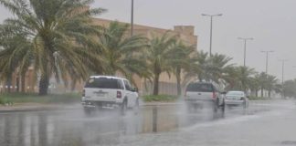 Pluies orageuses à partir de vendredi sur plusieurs wilayas du sud du pays