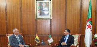 L’Algérie et la Belgique veulent élargir leur coopération: Cardio-chirurgie, formation et jumelages au cœur des discussions