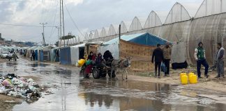 L’aggravation des effets de la dépression météorologique accentue la souffrance des déplacés dans la bande de Ghaza