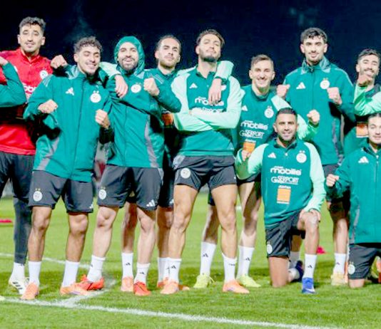 EN: Les Verts, peuvent-ils viser une nouvelle consécration continentale ?