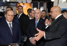 Président de la République: Le minerai de fer de Gara Djebilet acheminé directement vers Oran par rail fin janvier