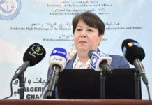 Mine de Gara Djebilet: «500 nouveaux postes d’emploi seront créés dans deux unités de traitement du fer», annonce Karima Bakir Tafer