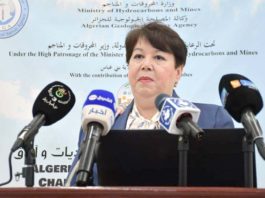 Mine de Gara Djebilet: «500 nouveaux postes d’emploi seront créés dans deux unités de traitement du fer», annonce Karima Bakir Tafer