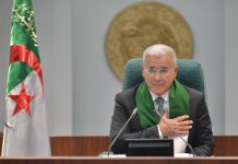 Projet de loi criminalisant la colonisation française en Algérie: Le combat de tout un peuple