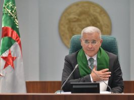 Projet de loi criminalisant la colonisation française en Algérie: Le combat de tout un peuple