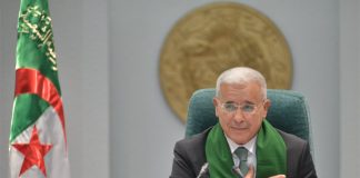 Projet de loi criminalisant la colonisation française en Algérie: Le combat de tout un peuple