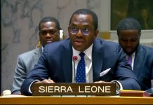 Terrorisme au Sahel: À l’ONU, les A3+ exigent une coordination accrue