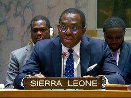 Terrorisme au Sahel: À l’ONU, les A3+ exigent une coordination accrue