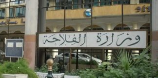 Importation de 1,15 million de tonnes de maïs: L’État sécurise l’approvisionnement du marché national des aliments pour bétail