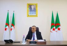 Suivi des grands chantiers nationaux: Djellaoui renforce le contrôle des projets portuaires et ferroviaires miniers
