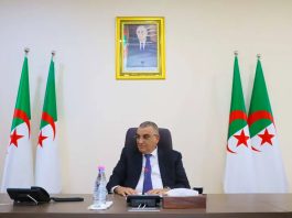 Suivi des grands chantiers nationaux: Djellaoui renforce le contrôle des projets portuaires et ferroviaires miniers