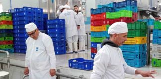 Giplait couvre plus de la moitié du marché national et vise l’export africain: 4 millions de litres pasteurisés par jour et un tournant stratégique dès 2026