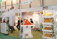 AgroSouf-2025: 80 exposants mobilisés pour booster l’investissement agricole dans le Sud