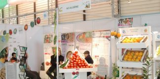 AgroSouf-2025: 80 exposants mobilisés pour booster l’investissement agricole dans le Sud