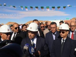 Lancement d’une centrale solaire de 82 MW à Guerrara: Mourad Adjal renforce le pôle des énergies renouvelables dans le Sud