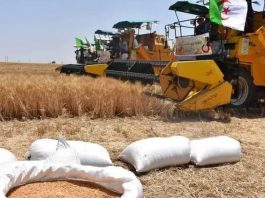 Cap sur 3 millions d’hectares: Transformation numérique et équipements agricoles érigés en priorités nationales