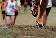 Cross-country: Début à Alger du Championnat national universitaire, qualificatif pour le Mondial d’Italie