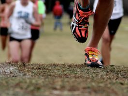Cross-country: Début à Alger du Championnat national universitaire, qualificatif pour le Mondial d’Italie