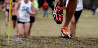 Cross-country: Début à Alger du Championnat national universitaire, qualificatif pour le Mondial d’Italie