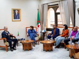 Cinéma: Vers une nouvelle dynamique participative: Documentaire, salles et clubs au cœur des échanges avec les professionnels