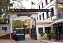 Tlemcen: Lancement des journées de formation en audiovisuel et cinéma