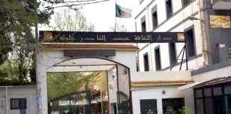 Tlemcen: Lancement des journées de formation en audiovisuel et cinéma