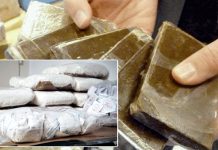 Ouargla: Plus de 52 kg de drogues saisis durant l’année 2025