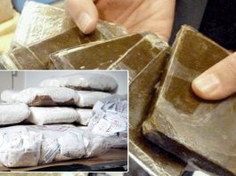 Ouargla: Plus de 52 kg de drogues saisis durant l’année 2025