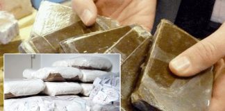 Ouargla: Plus de 52 kg de drogues saisis durant l’année 2025