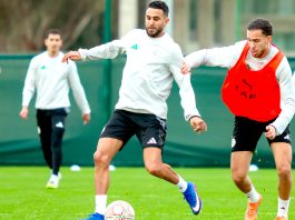 CAN 2025 (1/8e de finale) Algérie: Les « Verts » montent en intensité avant la RD Congo