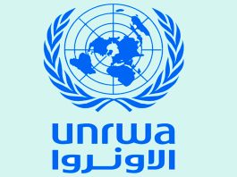 L’UNRWA met en garde contre les restrictions imposées par l’entité sioniste contre les ONG à Ghaza
