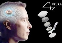 Quand la pensée devient commande: La promesse de Neuralink