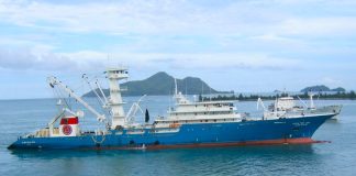 Pêche hauturière: Feu vert au dédouanement des navires d’occasion