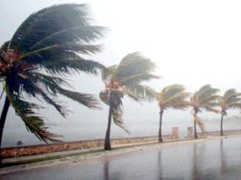 Des vents forts dimanche dans plusieurs wilayas du Sud