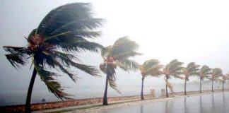 Des vents forts dimanche dans plusieurs wilayas du Sud