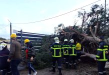 Wilaya d’Alger: Poursuite des interventions sur le terrain pour dégager les débris causés par les intempéries