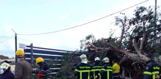 Wilaya d’Alger: Poursuite des interventions sur le terrain pour dégager les débris causés par les intempéries