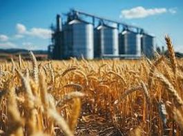 Mascara: Entrée en service prochainement de cinq nouveaux centres de stockage de céréales