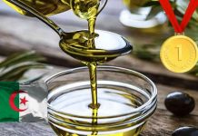 Batna: Concours de la meilleure huile d’olive extra vierge de la wilaya