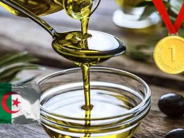 Batna: Concours de la meilleure huile d’olive extra vierge de la wilaya