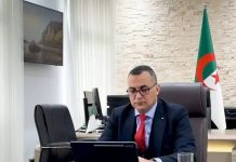 Intelligence artificielle: Zerrouki nommé membre du Conseil africain